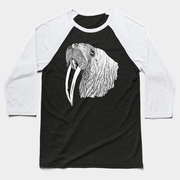 Walrus Baseball T-Shirt by mattleckie